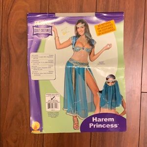Halloween Costume- Harem Princess